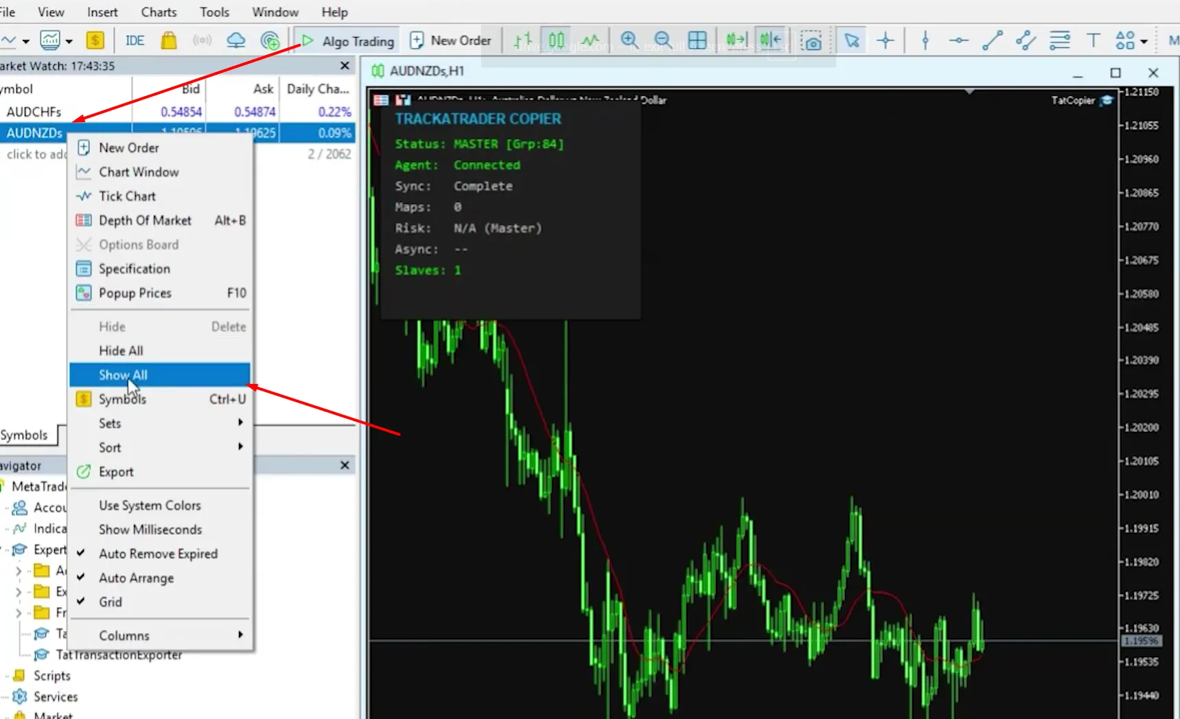 MetaTrader 5 Market Watch right-click menu with the Show All option highlighted